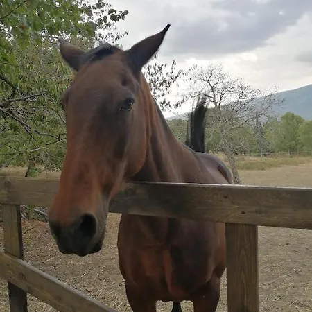 L'upupa Amiata Prázdninový dům