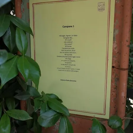 L'upupa Amiata *
