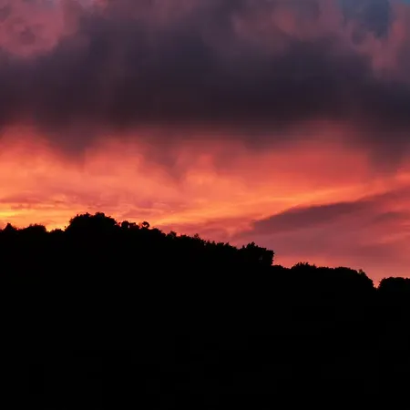 L'upupa Amiata * Salaiola