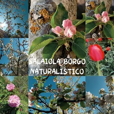 L'upupa Amiata Prázdninový dům