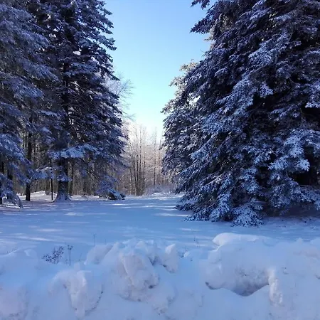 Prázdninový dům L'upupa Amiata Salaiola