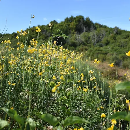 L'upupa Amiata Holiday home