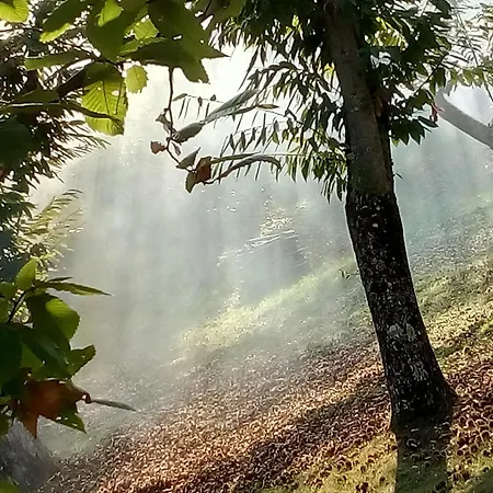 L'upupa Amiata Salaiola