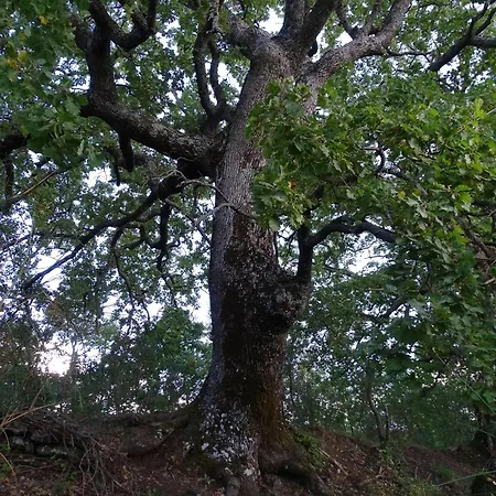 L'upupa Amiata Prázdninový dům Salaiola