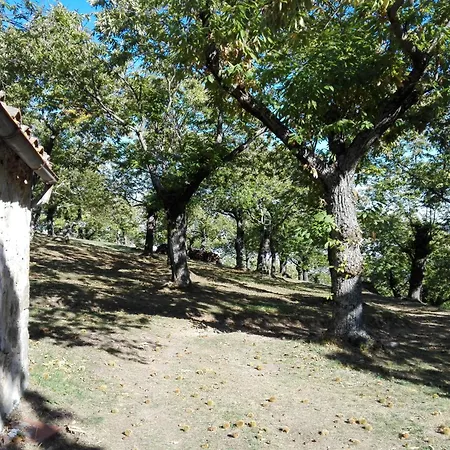 L'upupa Amiata * Salaiola