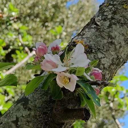 L'upupa Amiata Prázdninový dům Salaiola