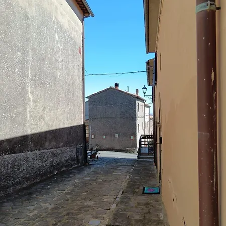 L'upupa Amiata