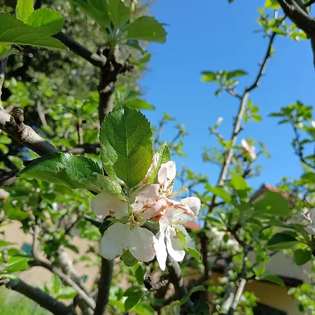 Prázdninový dům L'upupa Amiata *